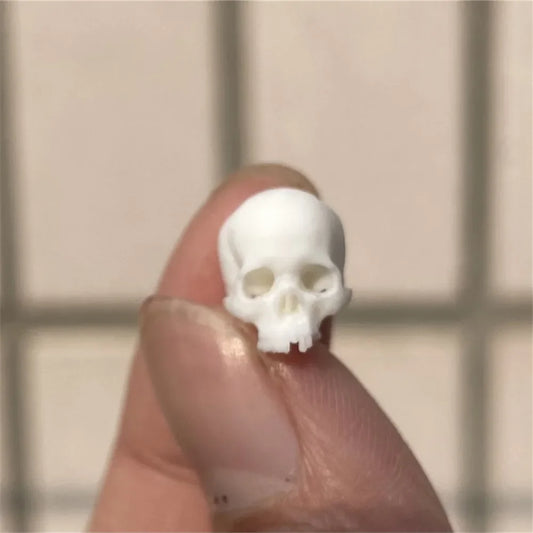 Mini Skull Model – High-Quality Miniature Decoration for Halloween, Dollhouses & Terrariums