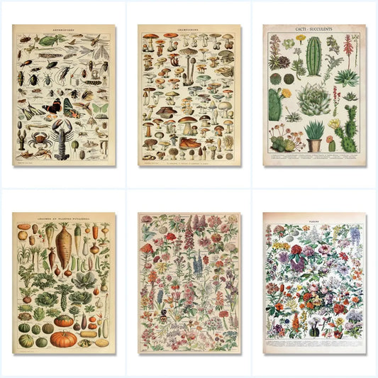 Vintage Adolphe Millot Encyclopedia Posters – Botanical Canvas Prints of Mushrooms, Herbs, Flowers & Insects
