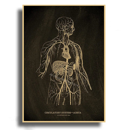 Heart/Skull/Brain Kraft Paper Poster – Chalkboard Anatomical Skeleton Vintage Medical Art